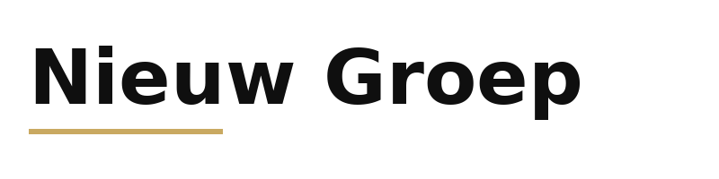 Nieuw Groep logo